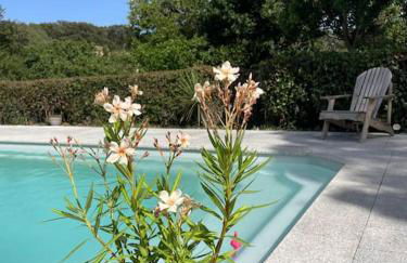 Location à Porto Vecchio - Foto 36