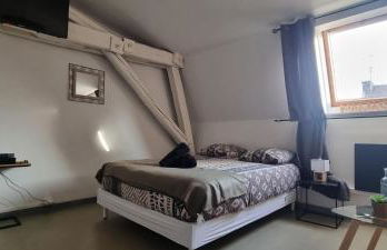 Lia parking rénové proche cité congrès 24m2 - Foto 1