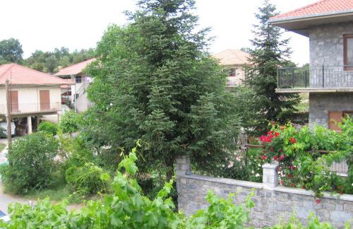 katafygio vytinas - Photo 8