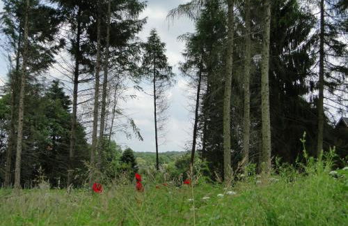 Holiday Home Haus Hartriegel im Bispinger Heidezauber by Interhome - Foto 38