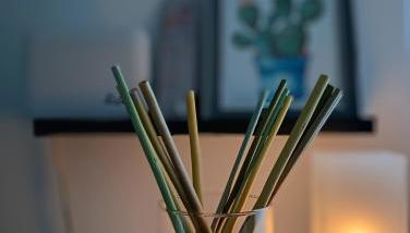 La Romanina - Foto 5