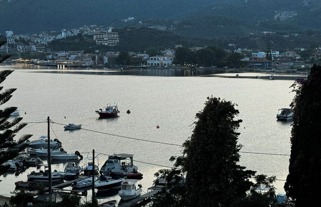 Georgias House Project West - Photo 17