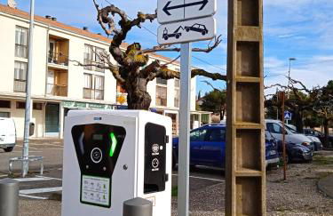 Les Oliviers de Camargue - Foto 16