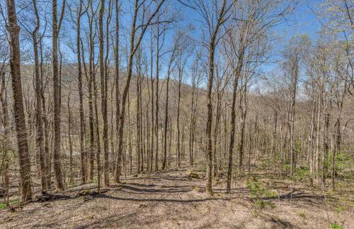 Mountainside Charm - Foto 24