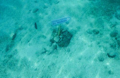 House 61 Sveta Marina - Photo 62