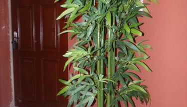 Le tout cosy - Wifi - Disney - EvasionPamiers - Foto 5