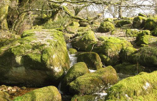 Butterbrook Coach House - Foto 22