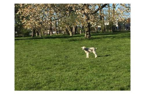 Holoiday home House starboard - Foto 33