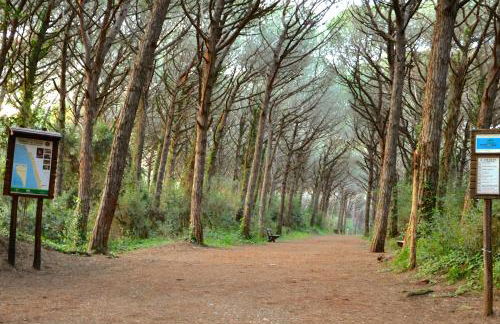 Apartments Via Dei Platani - Foto 31