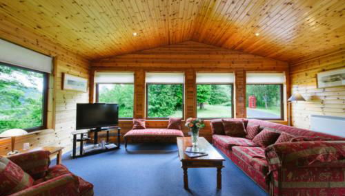 The Buzzard Lodge 2 bedroom sleeps up to 4 - Foto 4, Garden