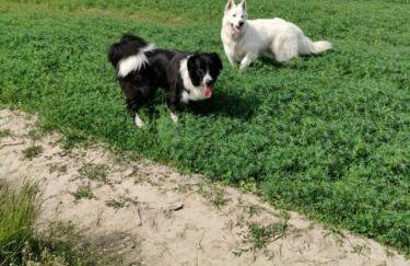 Różany Domek - Foto 32