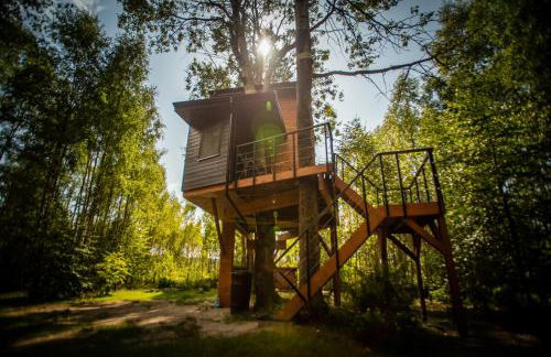 Domek na drzewie - Na Łośmiu Metrach - Foto 34