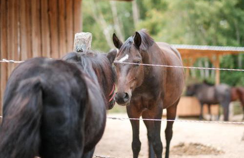 Biohof Medewege - Foto 6