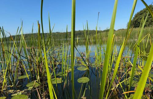 Domek rekreacyjny DORAN - Foto 39