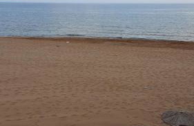 Efi's apartment - Foto 37