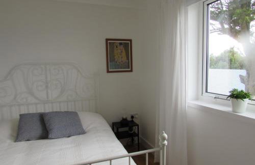 White Willows - Photo 10