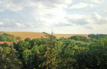 Gutshof und Ferienwohnung Proft - Foto 35