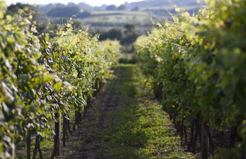 Agriturismo Bisenzio - Foto 45