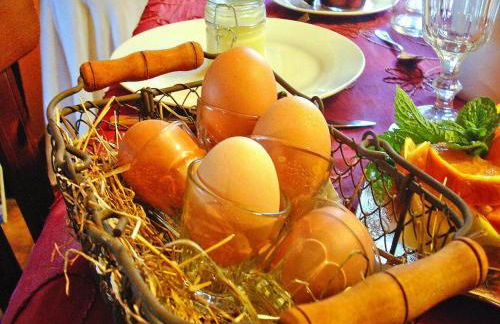 Flat in Alsace near Vosges Nature Park - Foto 14