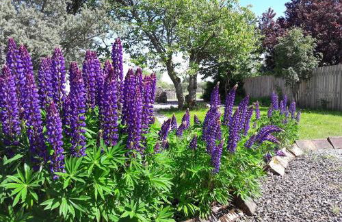 Highland River Cottage with Hot Tub - Foto 18