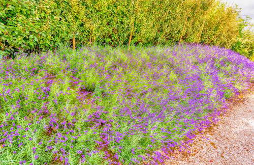 Whitley Coach House - Foto 23