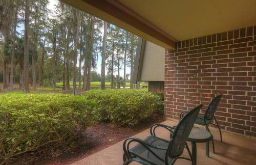 Luxury 1 Bedroom Condo in Palm Harbor Florida 2 Miles From Beach by David Rigney Real Estate Solutions - Foto 32