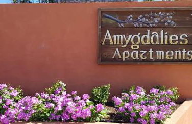 Amigdalies - Foto 11