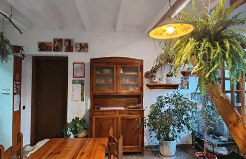 2 double rooms apartment- La Casa di Alice - Foto 64
