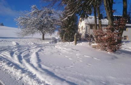 Ferienwohnung Hägelhof - Foto 38