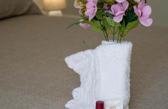 Ranieli Apartments a meno di 2 kilometri da TROPEA FREE PARKING AND WIFI - Foto 44