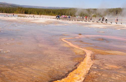 Grandma's Cabin Yellowstone Vacation Home - Foto 50