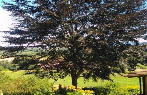 Charming Holiday Home With Natural Garden in Kaltennordheim-thuringia - Foto 16