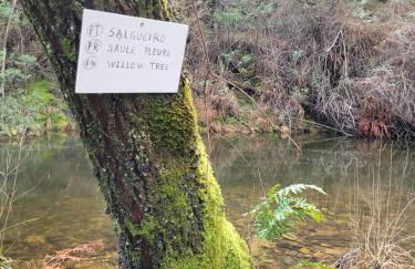 CHALÉ, Pedra, Isolada, Natureza, Rio - Ecoturismo - Foto 8