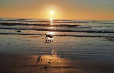 Wendon Holidays - Photo 45