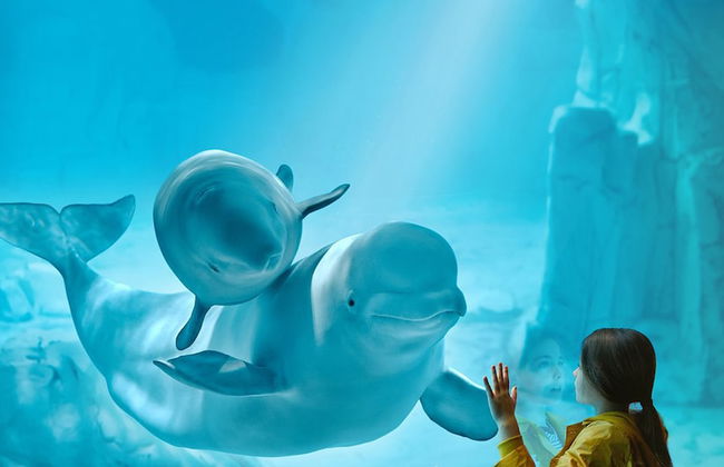 JL Ciudad de las Artes - Foto 52