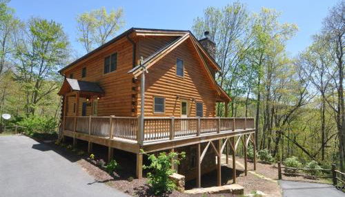 The Scratching Post - Foto 3