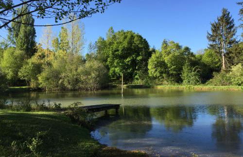 Owi - Idyllisches Ferienhaus inmitten der Natur - Foto 54