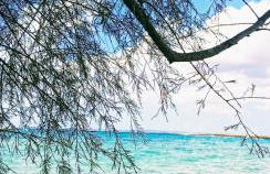 La veranda dei remi azzurri - Foto 39