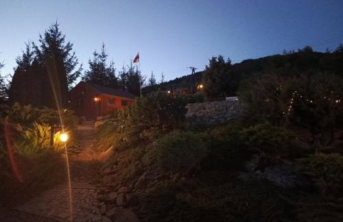 Dom w Chomranicach- Jacuzzi, domek grillowy - Foto 31