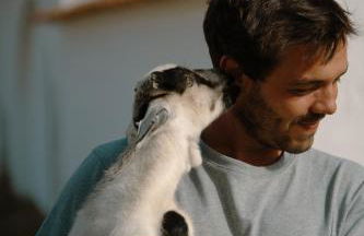 Herdade Vale de Cabras - Foto 18