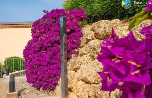 Casa Josemar - Casa con piscina junto a la playa en Cala Romántica - Foto 3