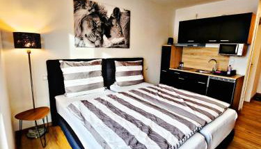 Lions Place Premium Apartments BUSINESS optionaler Zugang zum SPA- Bereich - Foto 2