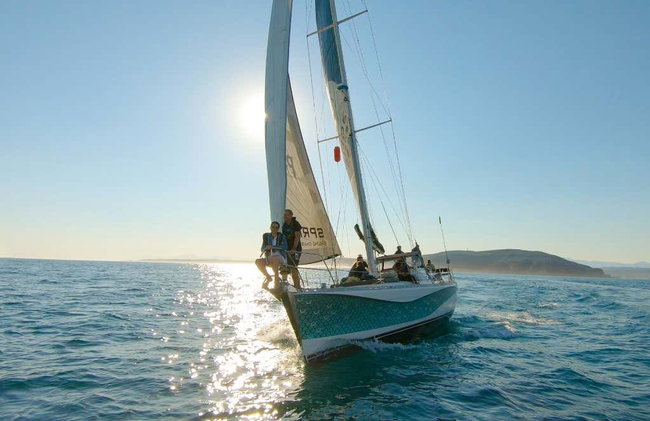 Passeio de veleiro por Knysna com aperitivo - Foto 8