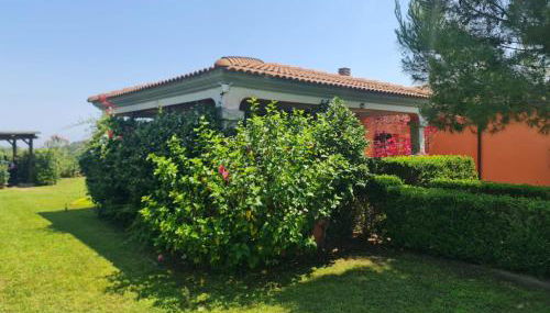 Villa Chiara - Foto 3, Garden