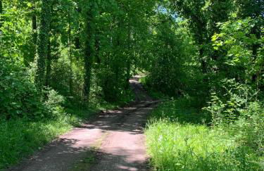 Ferienwohnung Luna -3 Schlafzimmer, Waschmaschine, Küche, WLAN, ca 15 Min bis zum Europa Park, - Foto 44