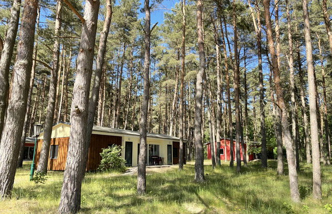 Silz am Fleesensee - Foto 12