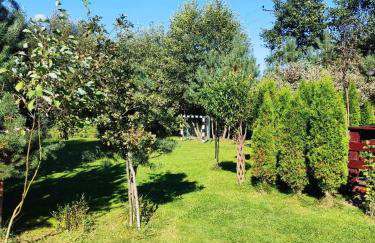 Domki w Bieszczadach - Foto 56