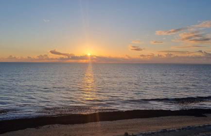 Au bruit des vagues, vue mer - Foto 31
