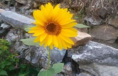 Xrysanthi's dream house - Foto 48