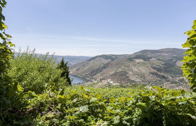 Casa de Casal de Loivos - Photo 59